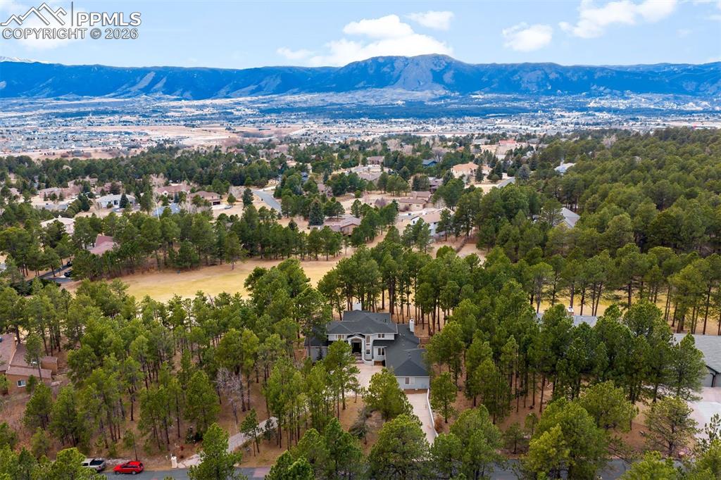 Image 43 of 45: Aerial View