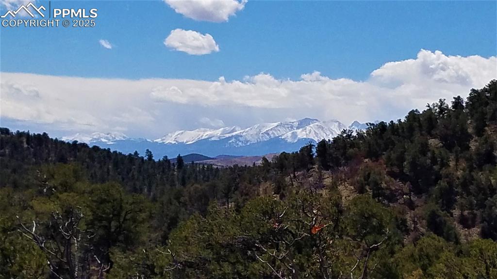 Image 48 of 48: View