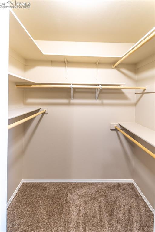 Image 10 of 35: Walk in closet with dark carpet