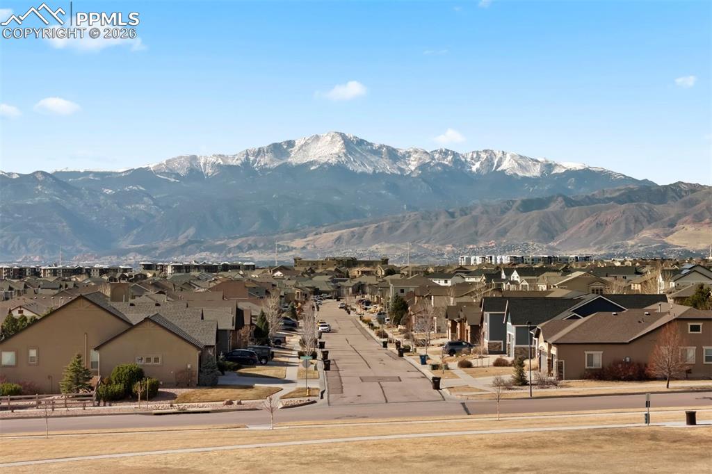 Image 49 of 50: View