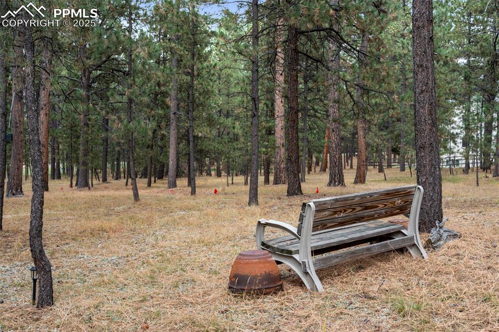 Image 41 of 41: Community