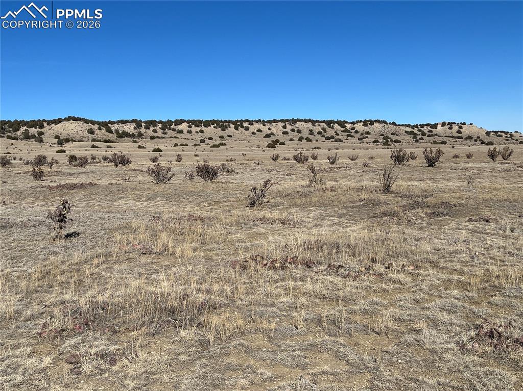 Image 11 of 34: Other