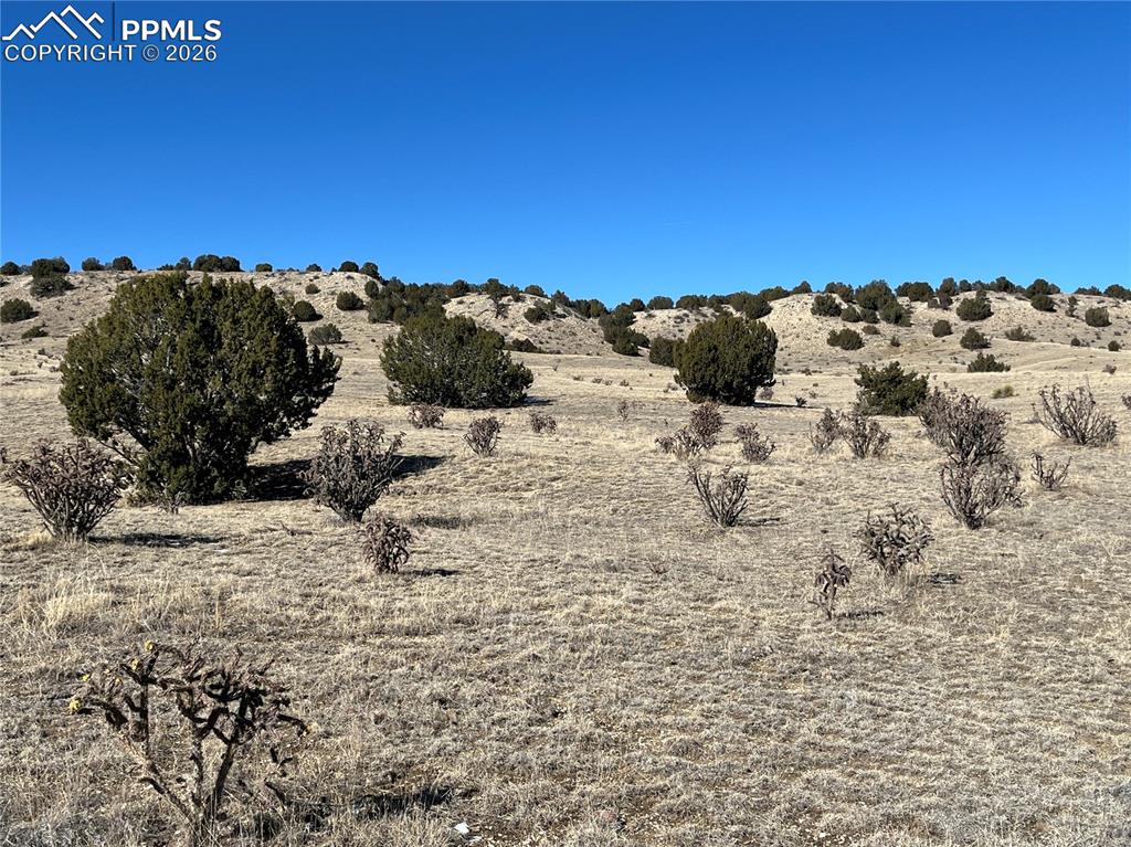 Image 13 of 34: Other