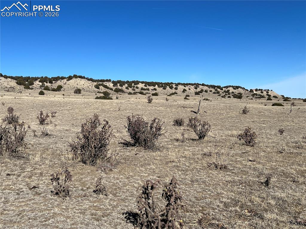 Image 14 of 34: View