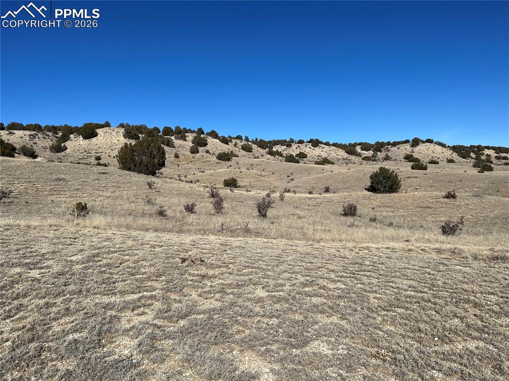 Image 15 of 34: Other