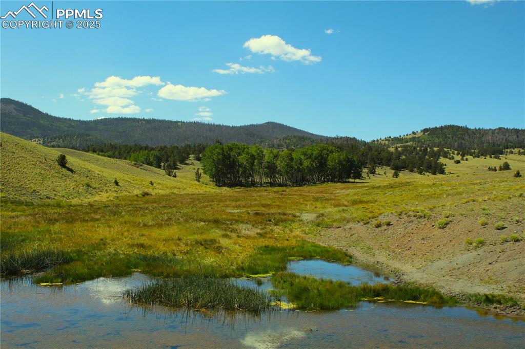 Image 11 of 18: View of mountain background featuring a forest