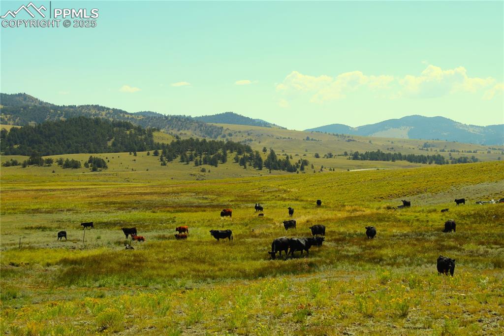 Image 15 of 18: Mountain view with rural landscape and a pastoral area