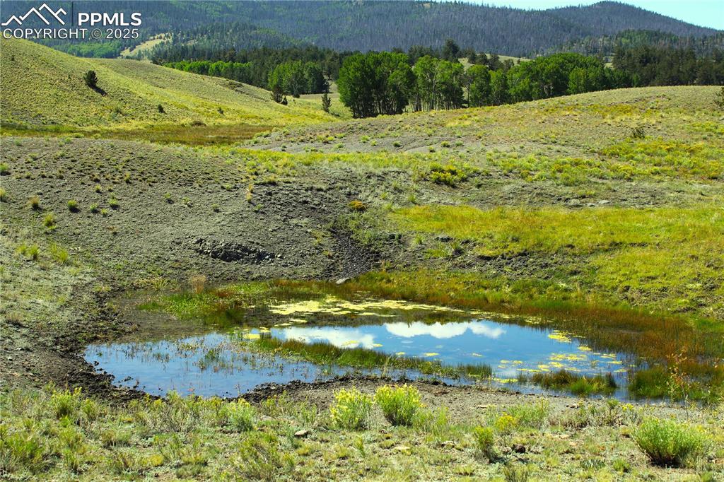 Image 2 of 18: View of mountain backdrop featuring a forest and a nearby body of water