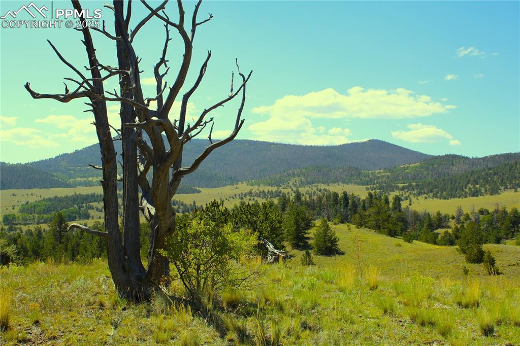 Image 3 of 18: Mountain view with a heavily wooded area