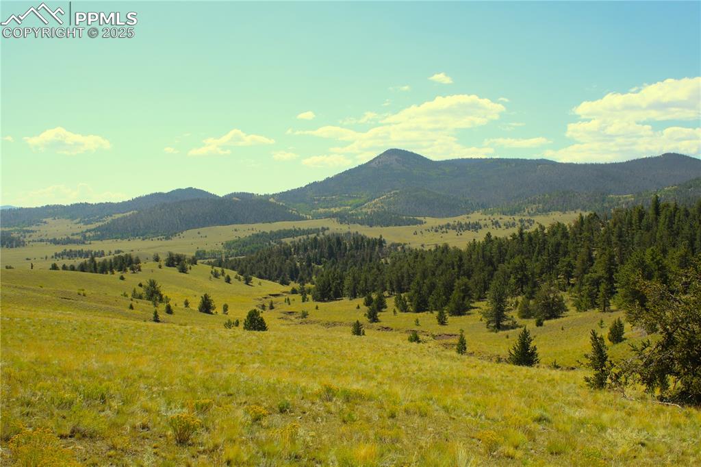 Image 9 of 18: Mountain view featuring rural landscape
