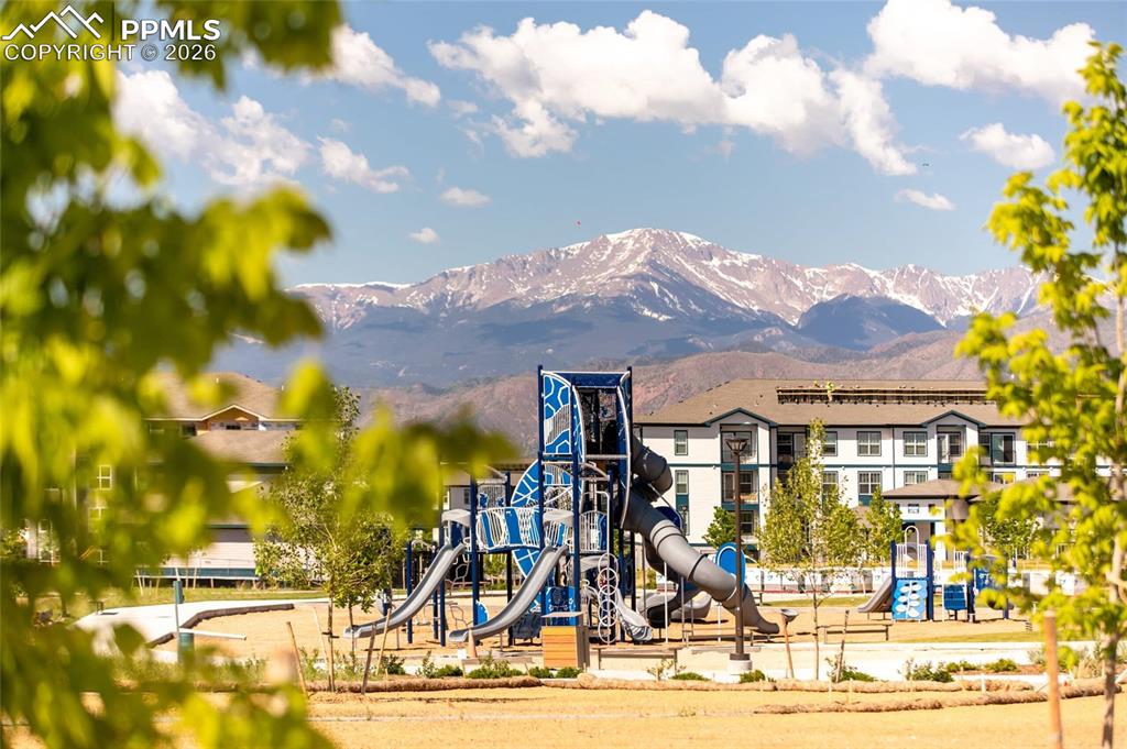 Image 10 of 11: Other