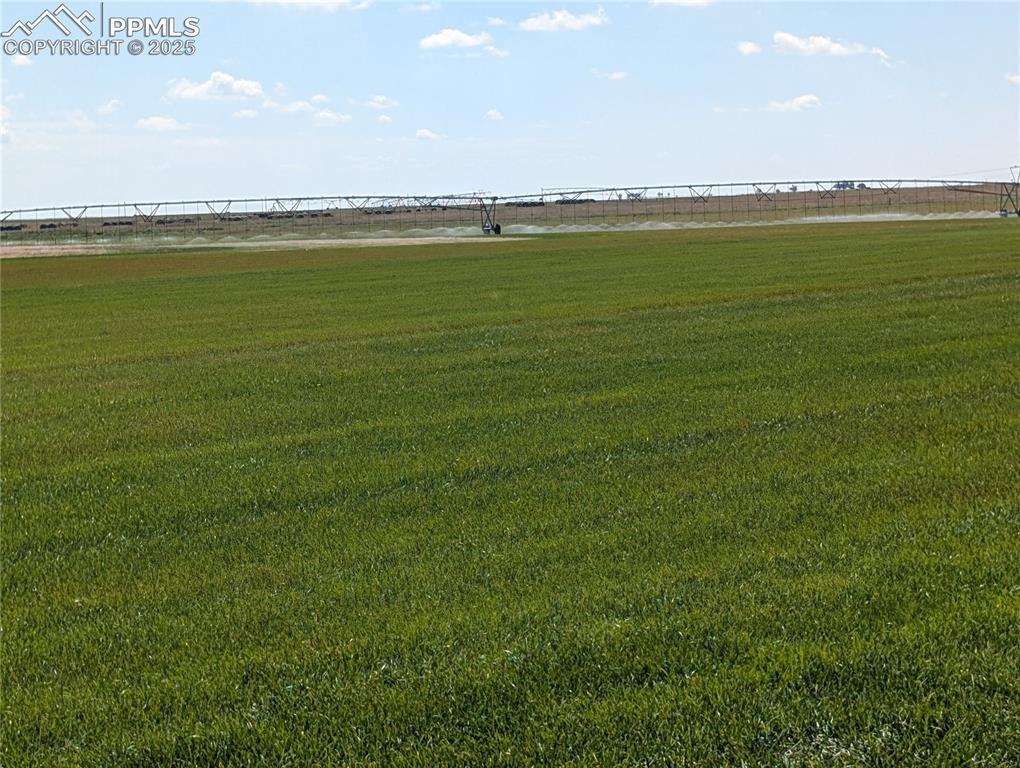 Image 10 of 29: Yard