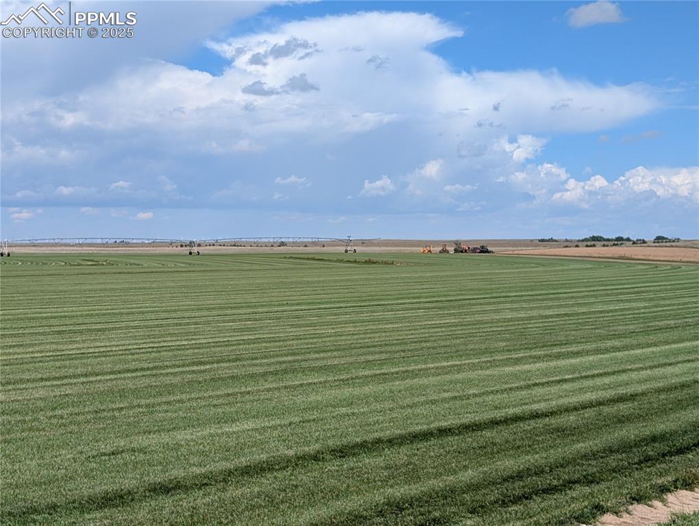 Image 12 of 29: Yard