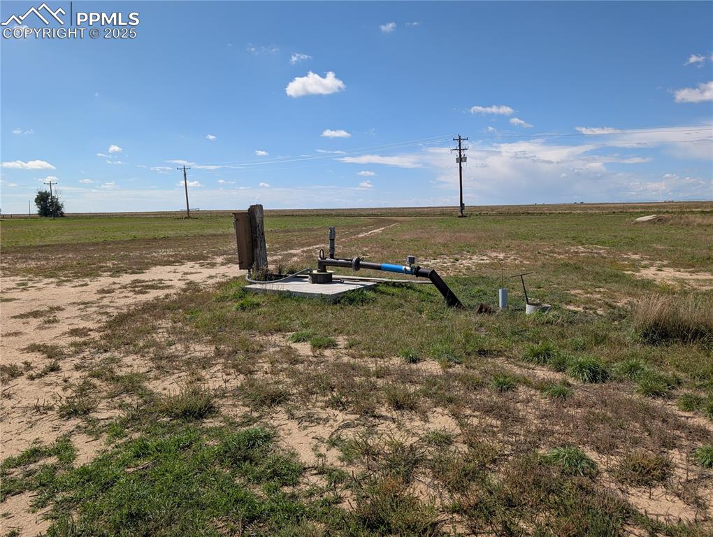 Image 14 of 29: Yard