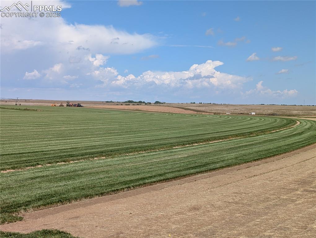 Image 16 of 29: Community