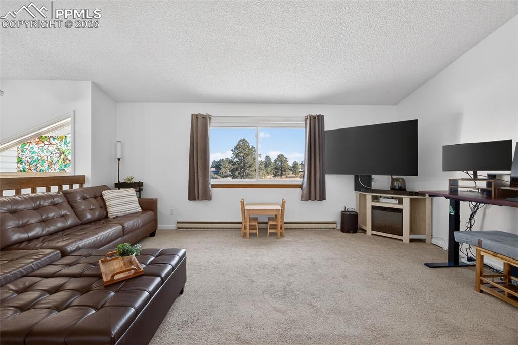 Image 8 of 34: Large Family Room