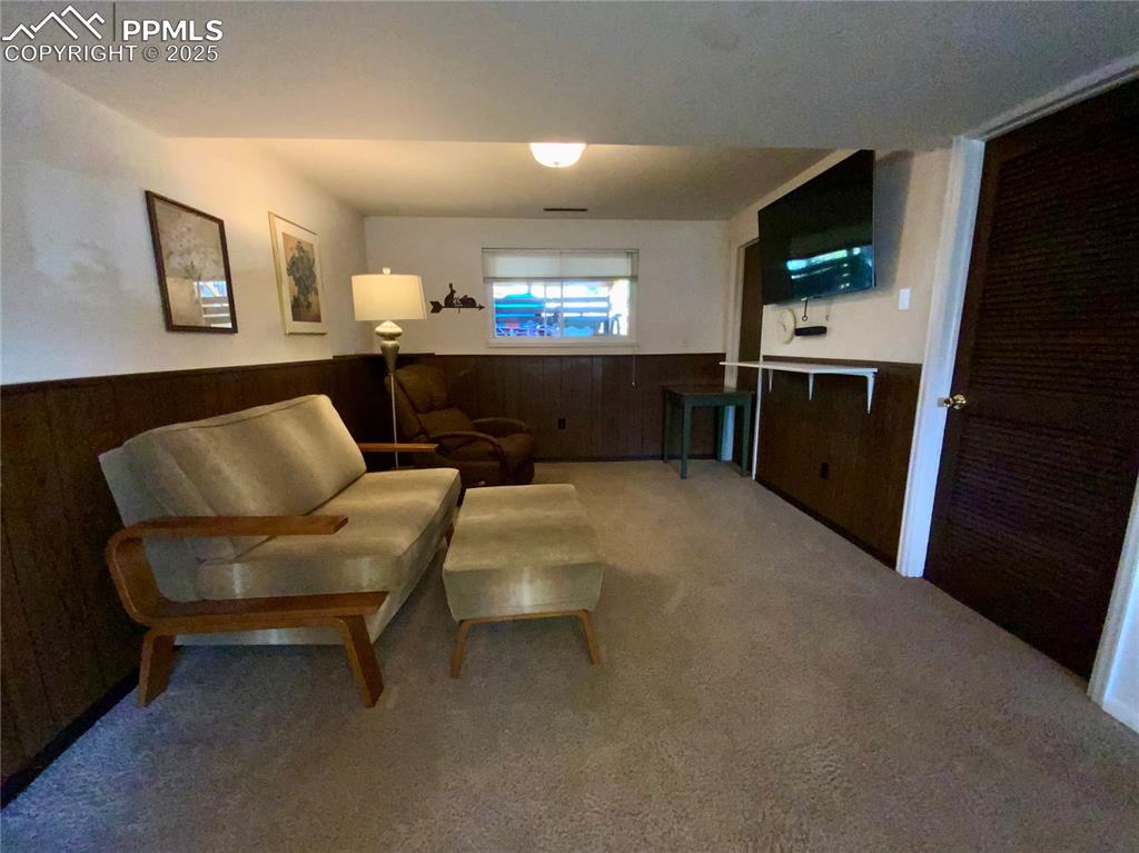 Image 17 of 22: Lower Level Family Room with Wood Burning Fireplace