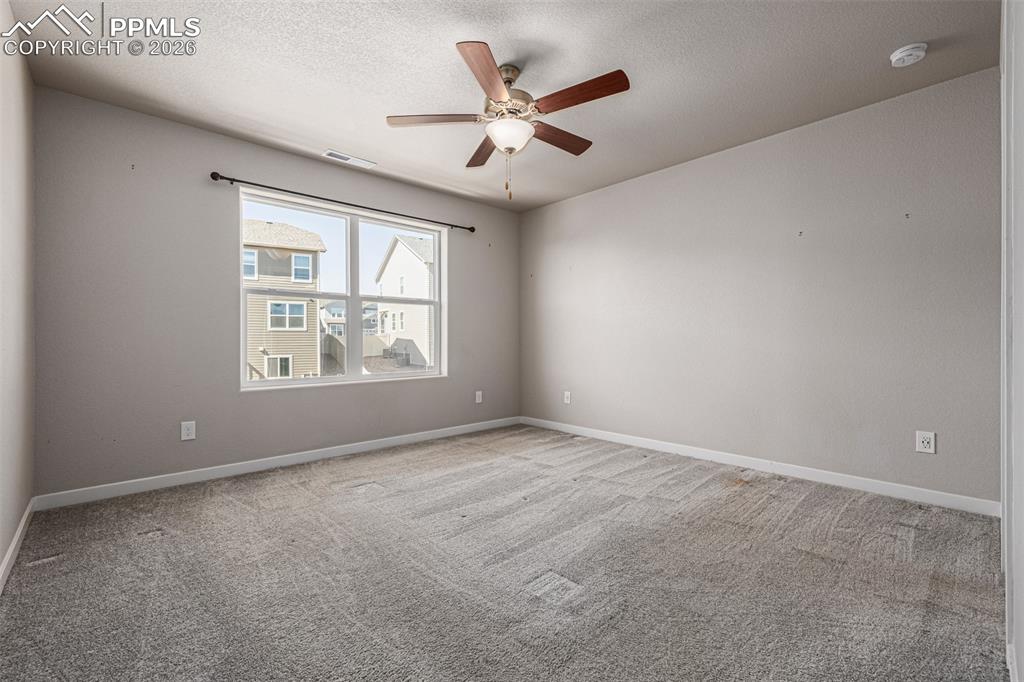 Image 17 of 50: Other