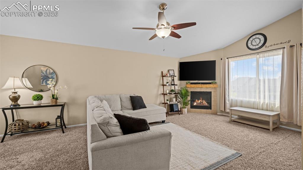 Image 15 of 48: Fireplace