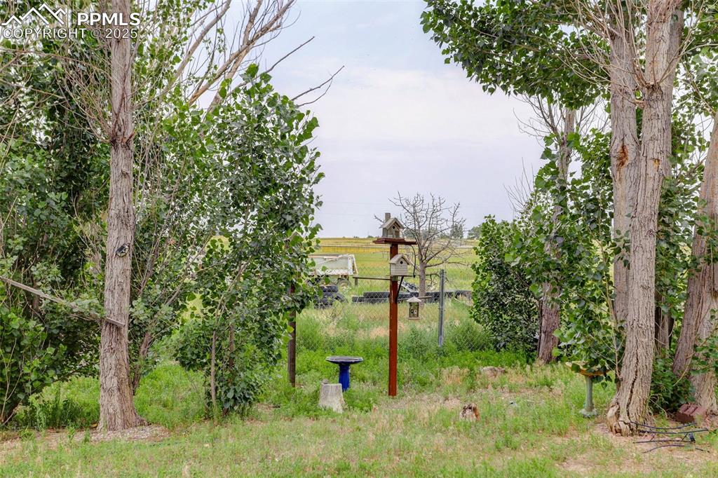 Image 36 of 37: Yard