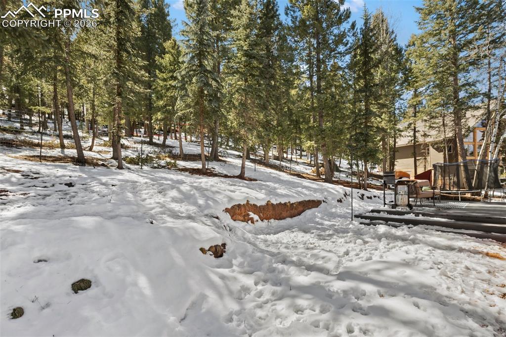 Image 20 of 21: Yard