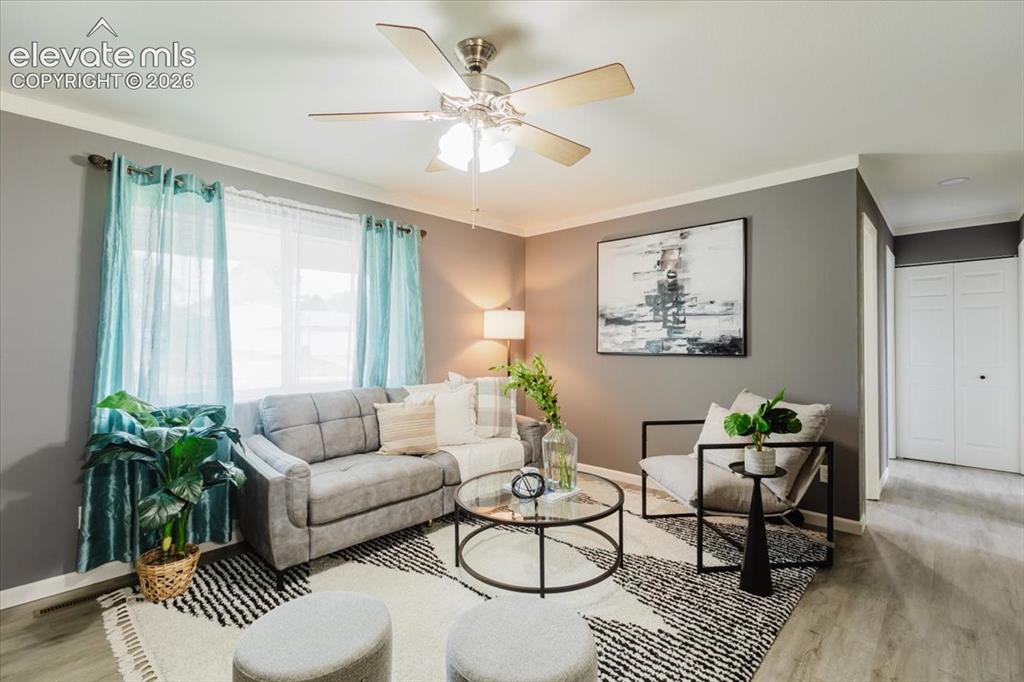 Image 6 of 48: Living Room