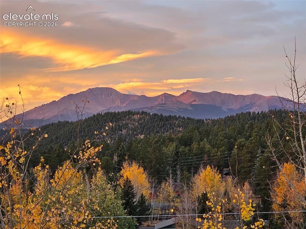 Image 24 of 45: Mountain range backdrop with expansive forestland and vibrant autumn foliag