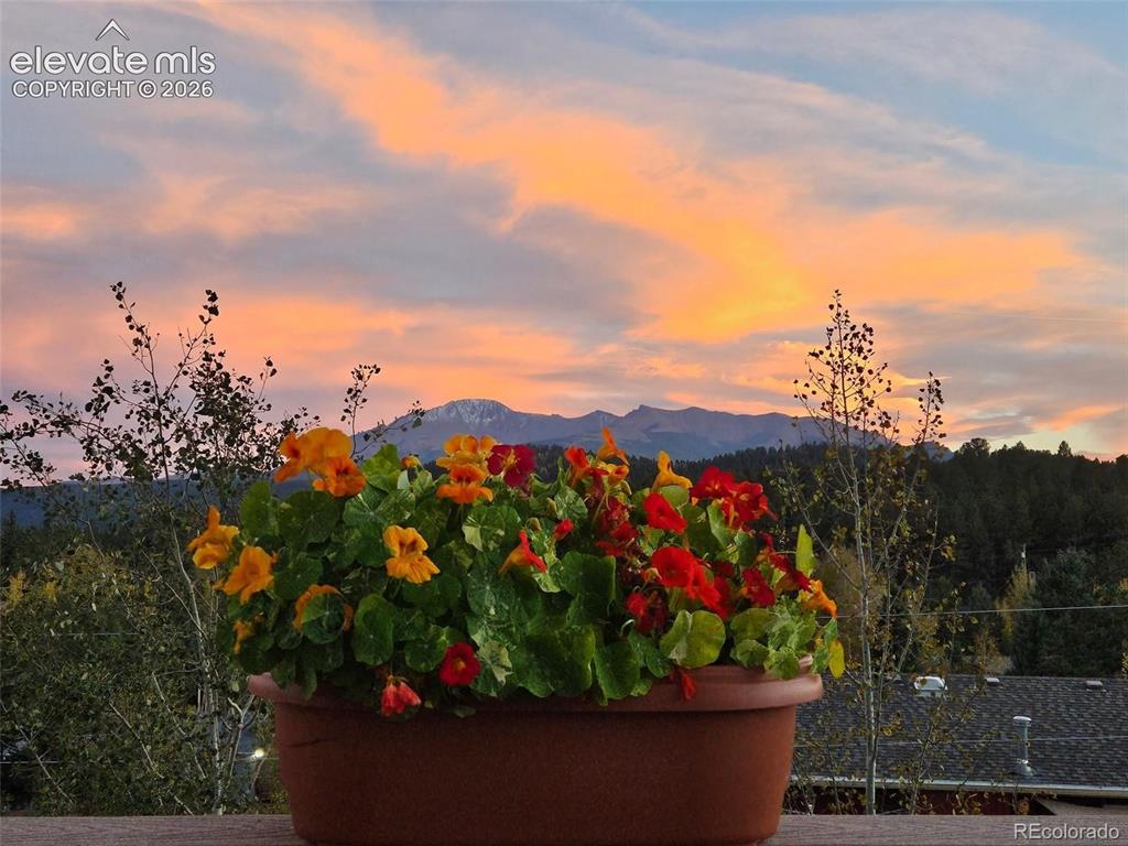 Image 39 of 45: Mountain backdrop with snow-capped peaks