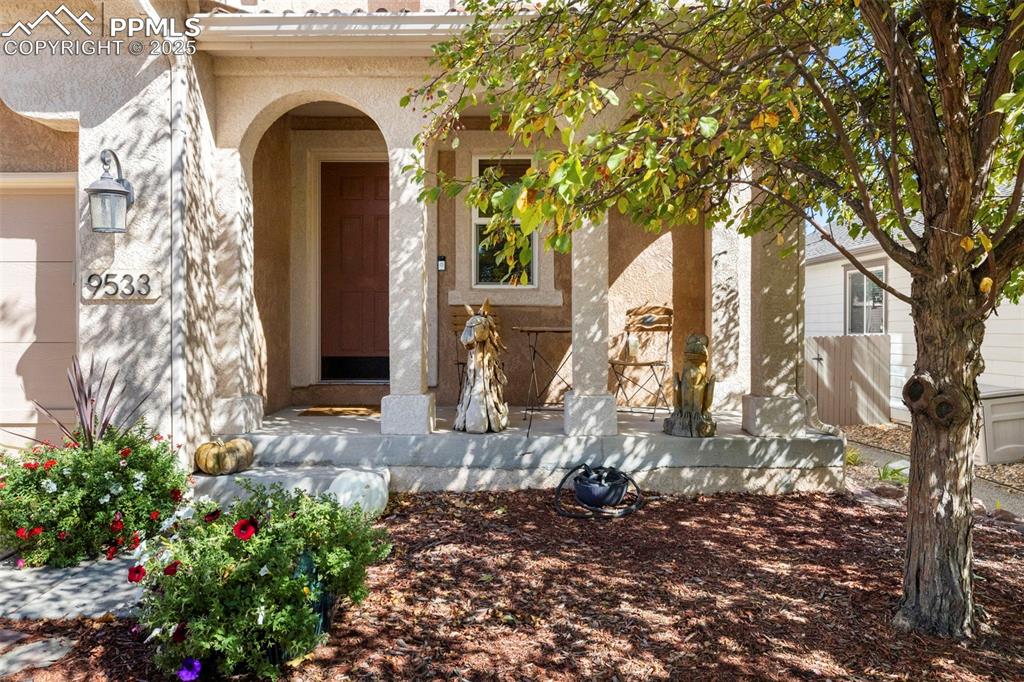 Image 8 of 44: Entry