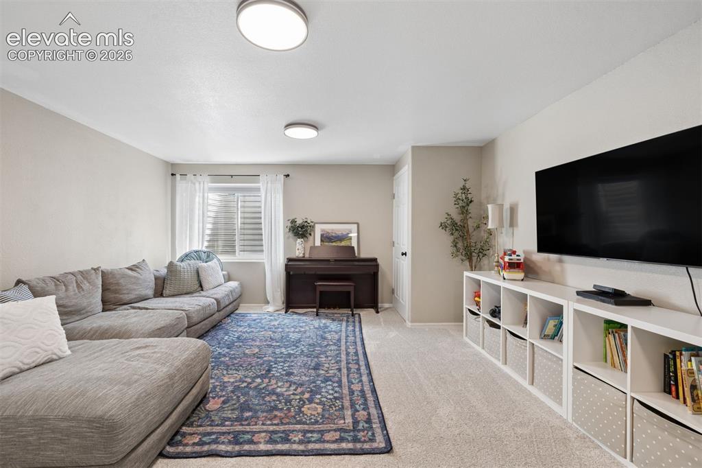 Image 24 of 43: Large basement family room, great for entertaining!