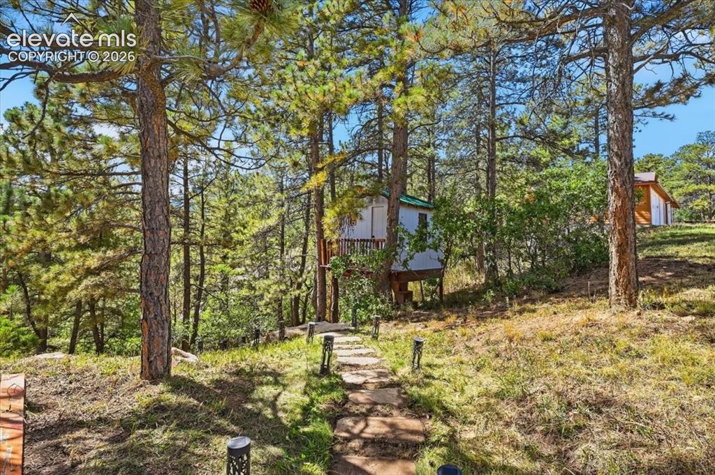 Image 36 of 44: Tree house