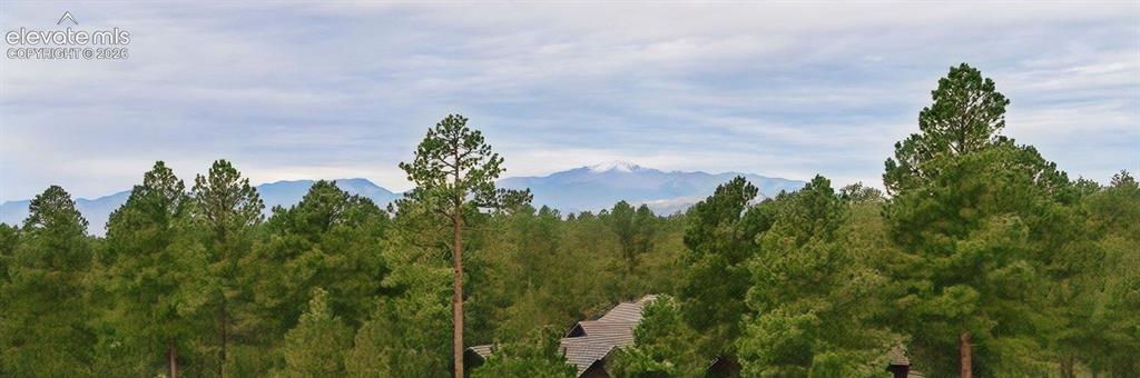 Image 4 of 50: View