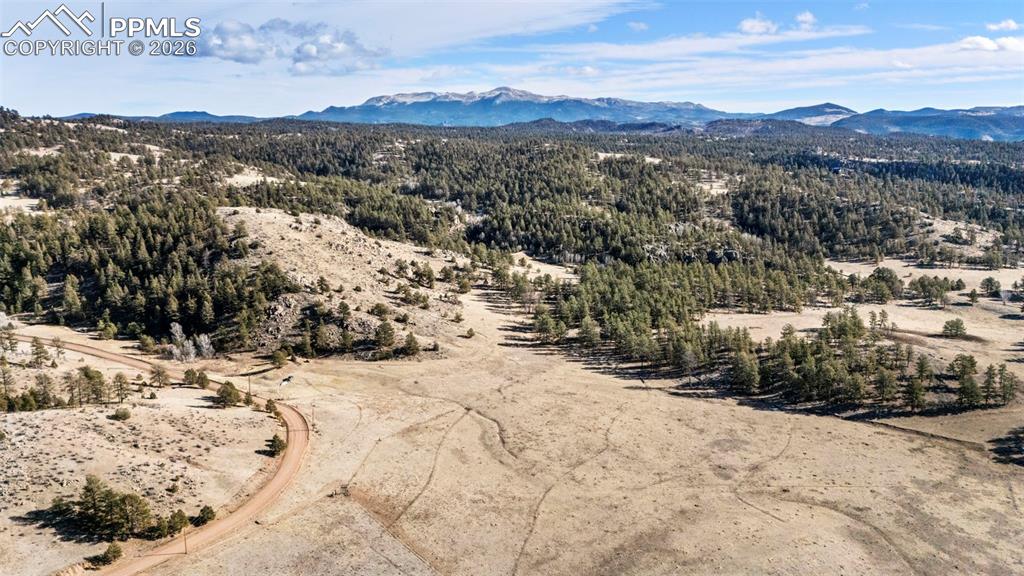 Caption: Aerial View