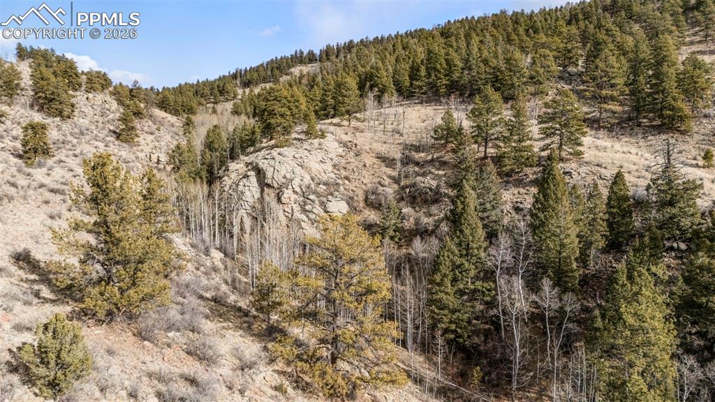 Image 12 of 41: Other