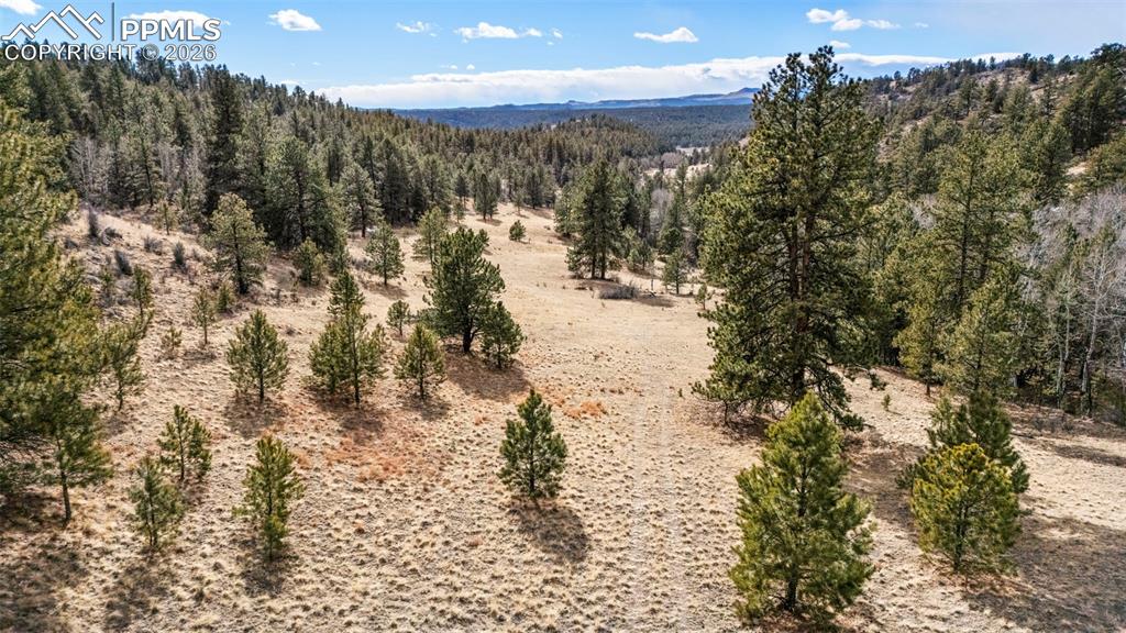 Image 13 of 41: View