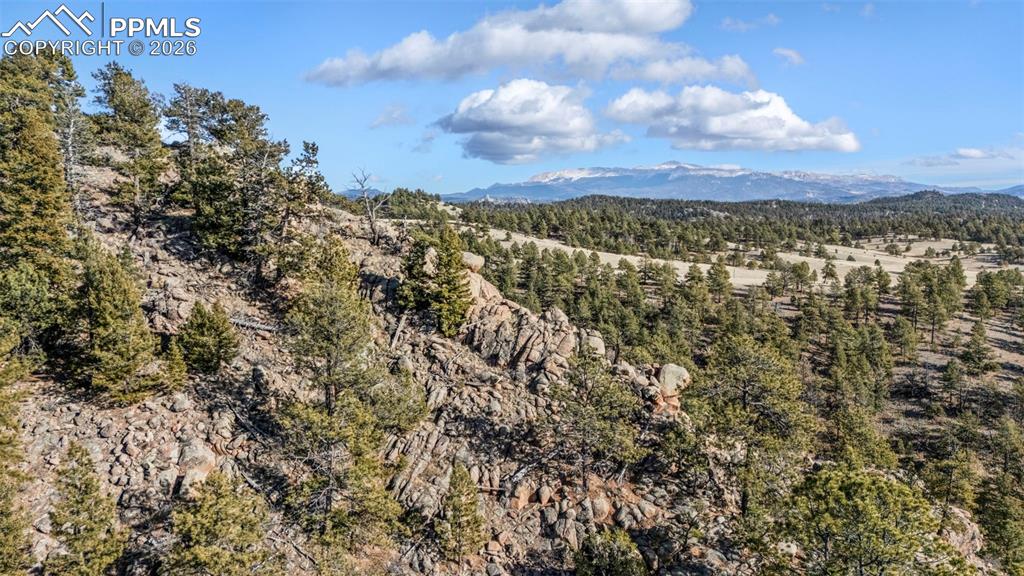 Image 14 of 41: View