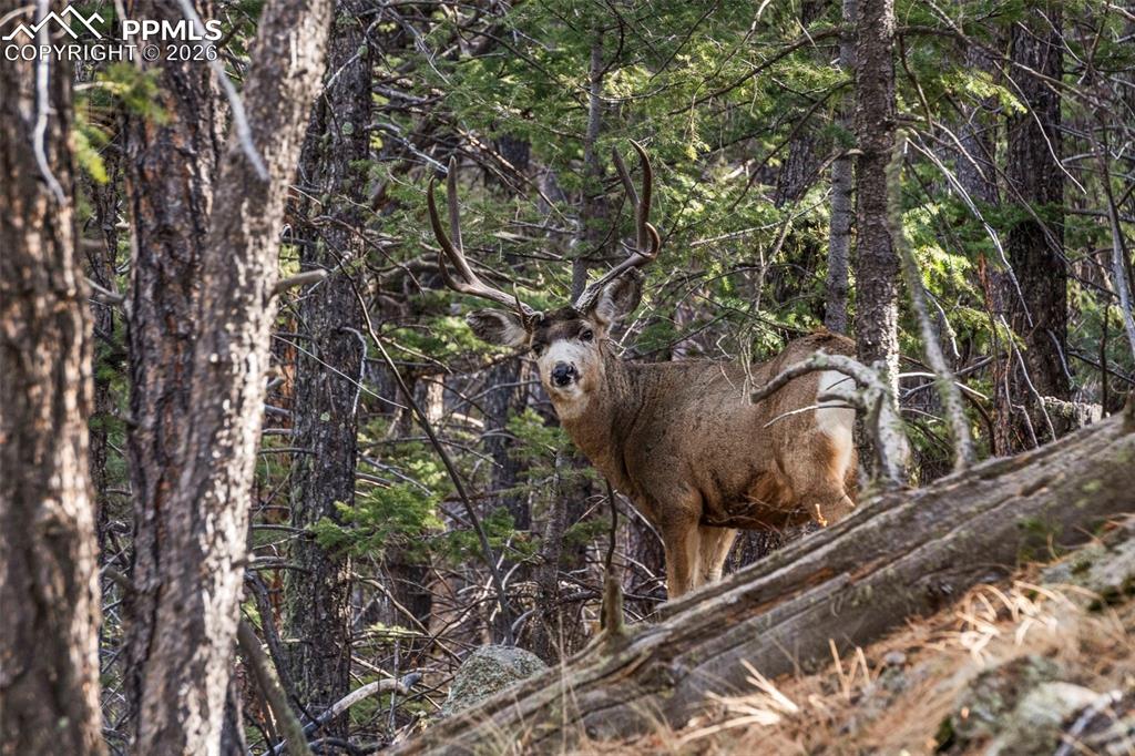 Image 22 of 41: Other