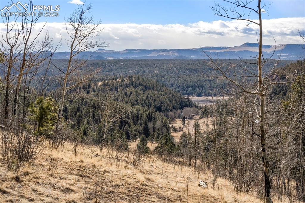 Image 23 of 41: View