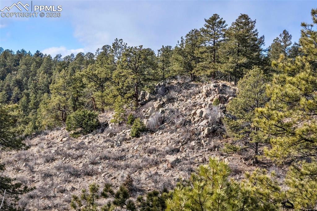 Image 24 of 41: Other