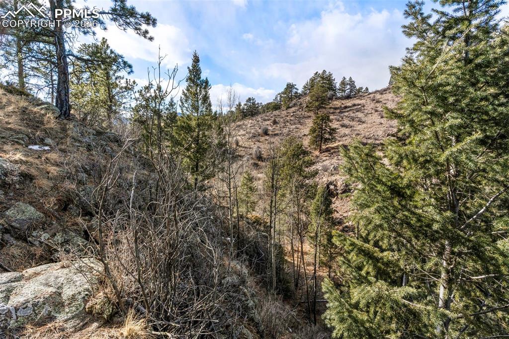 Image 25 of 41: Other