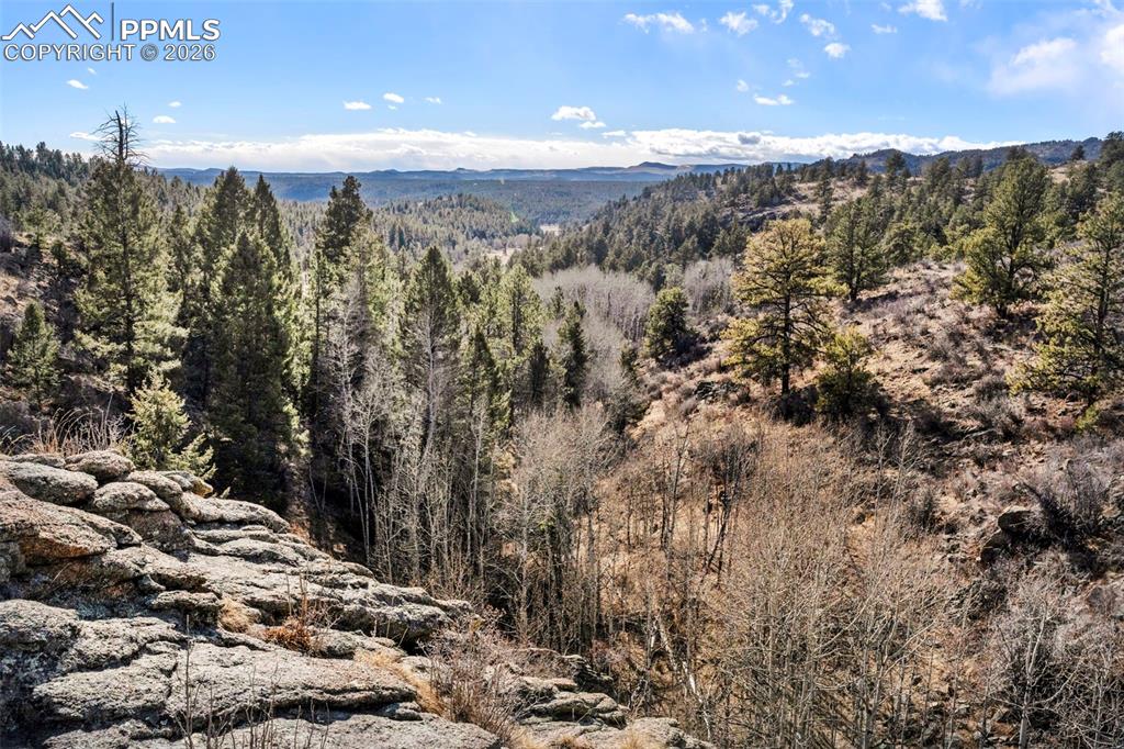 Image 28 of 41: View