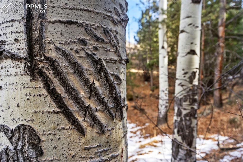 Image 29 of 41: Other