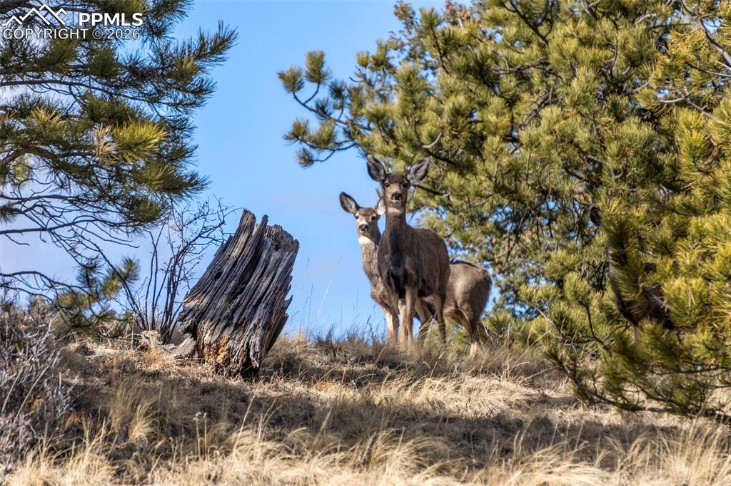 Image 32 of 41: Other