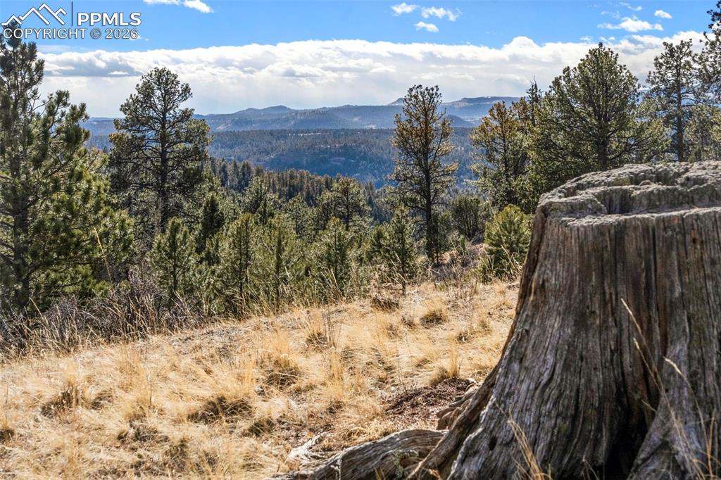 Image 33 of 41: View