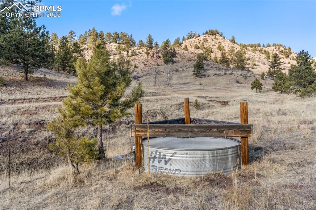 Image 34 of 41: Yard