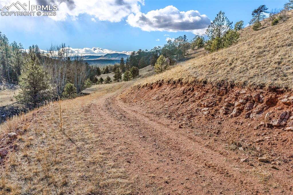 Image 35 of 41: Community