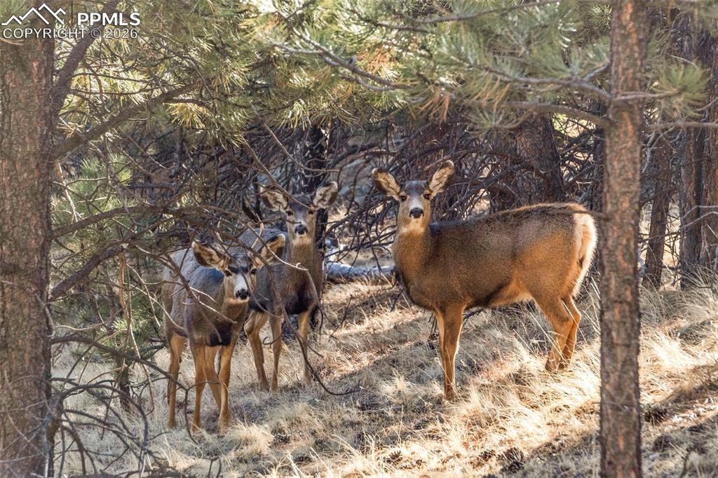 Image 36 of 41: Other