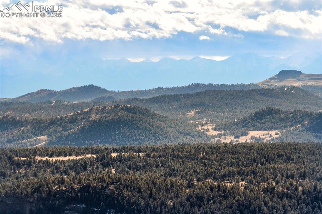 Image 37 of 41: View