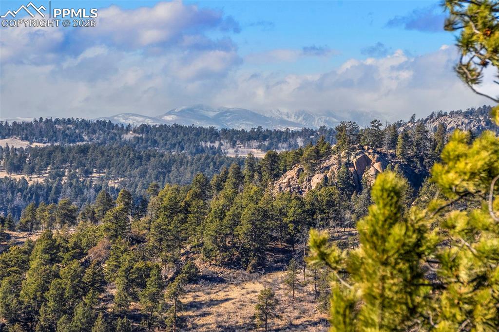 Image 38 of 41: View