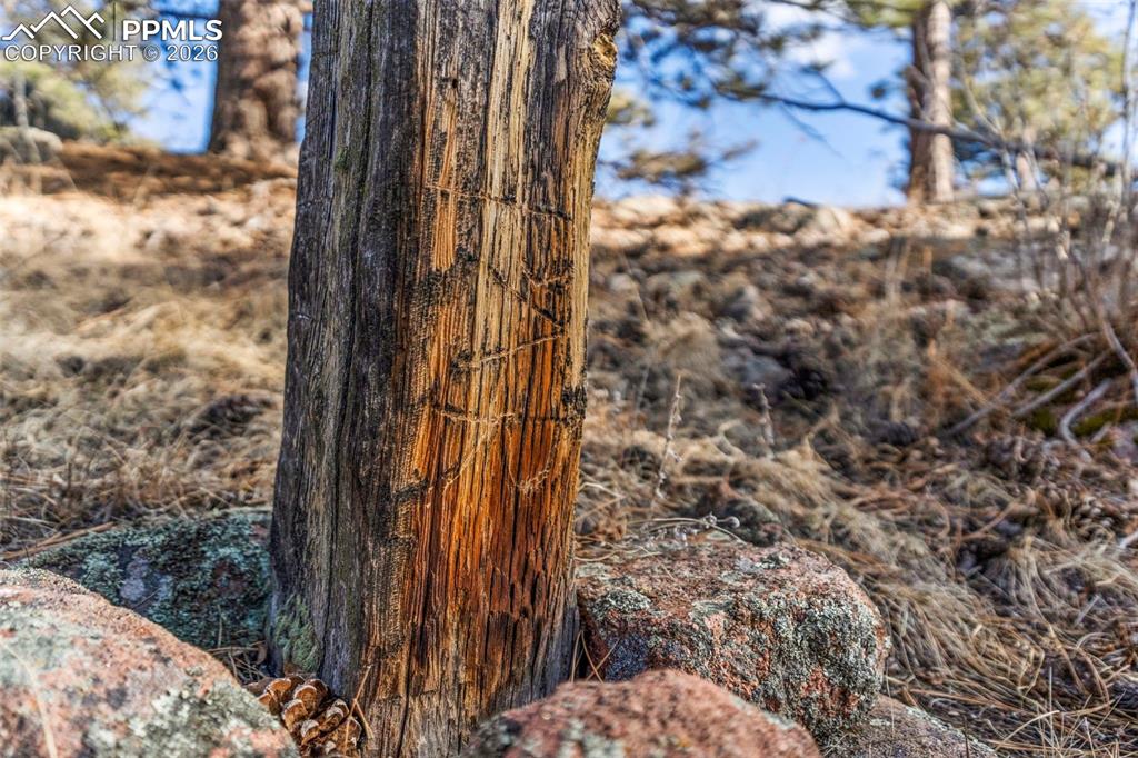 Image 39 of 41: Other